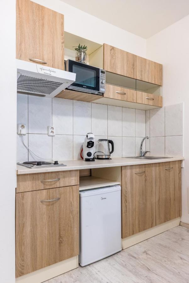 Apartia Krenova 31, Brno-Center エクステリア 写真