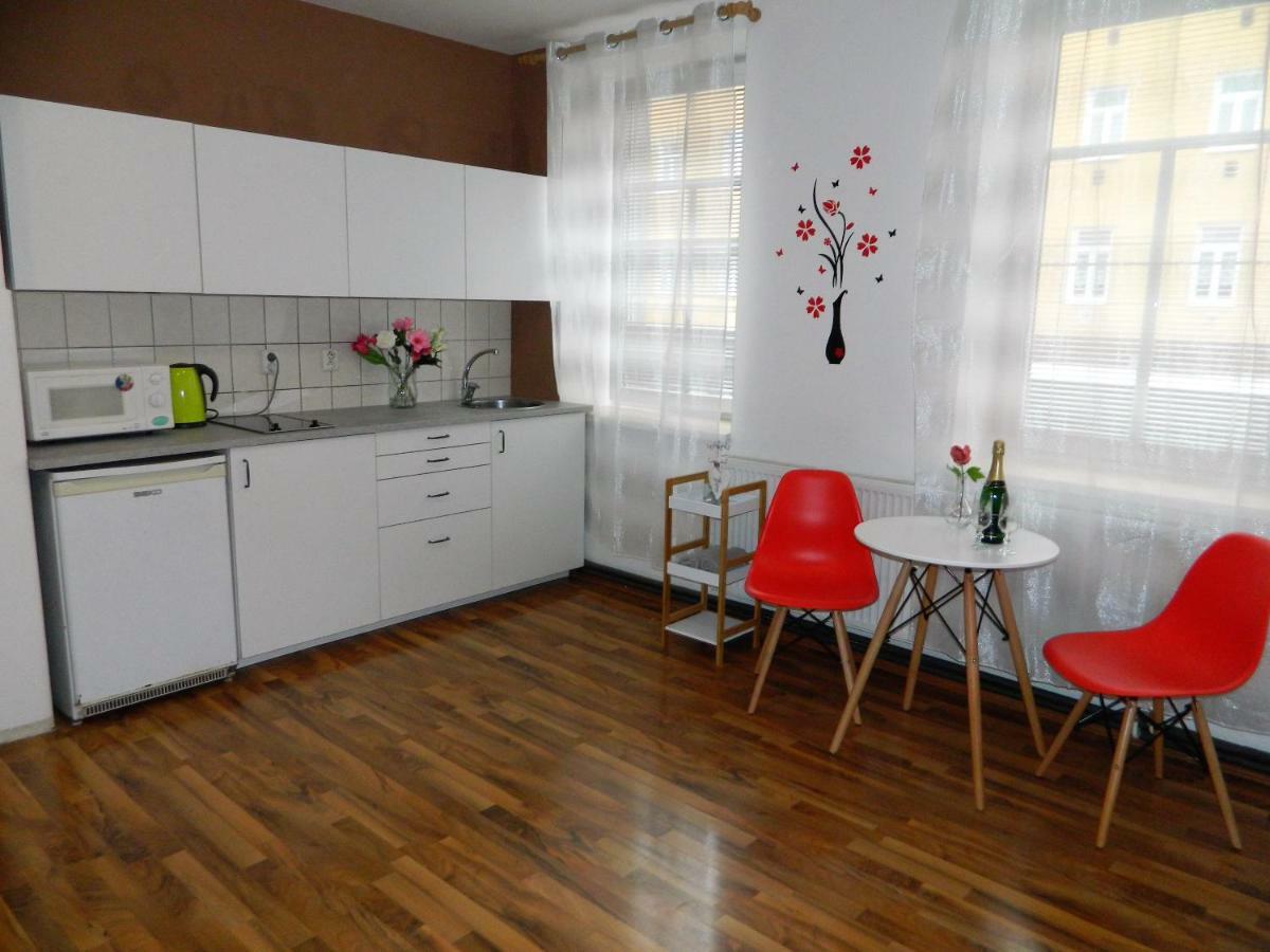 Apartia Krenova 31, Brno-Center エクステリア 写真