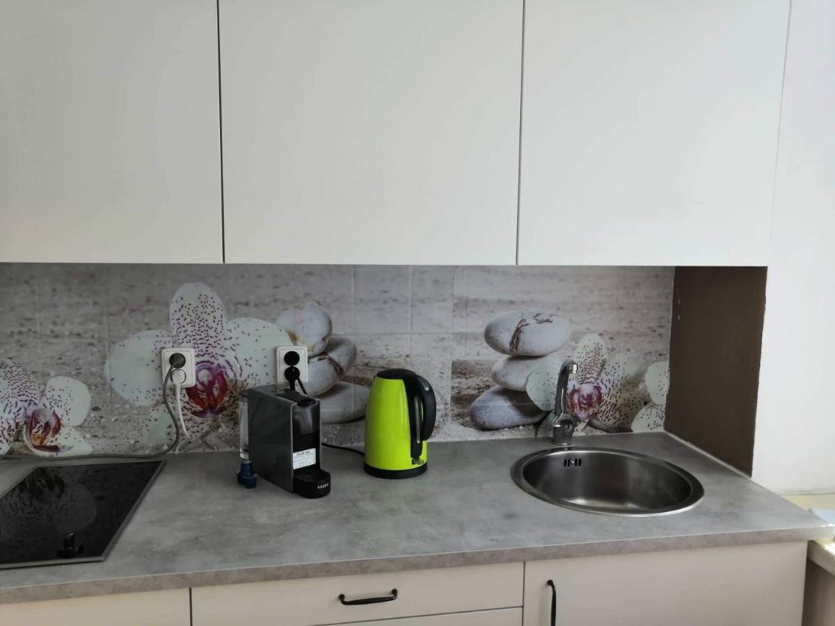 Apartia Krenova 31, Brno-Center エクステリア 写真